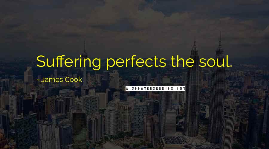 James Cook Quotes: Suffering perfects the soul.