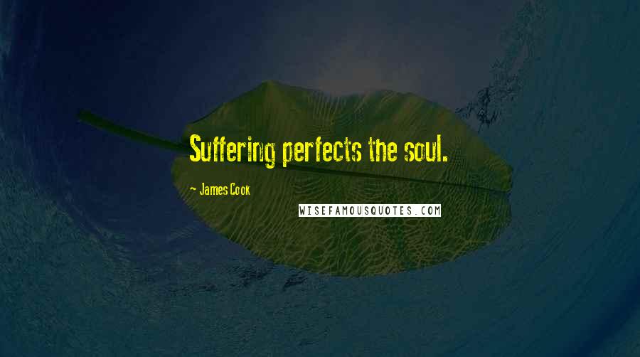 James Cook Quotes: Suffering perfects the soul.