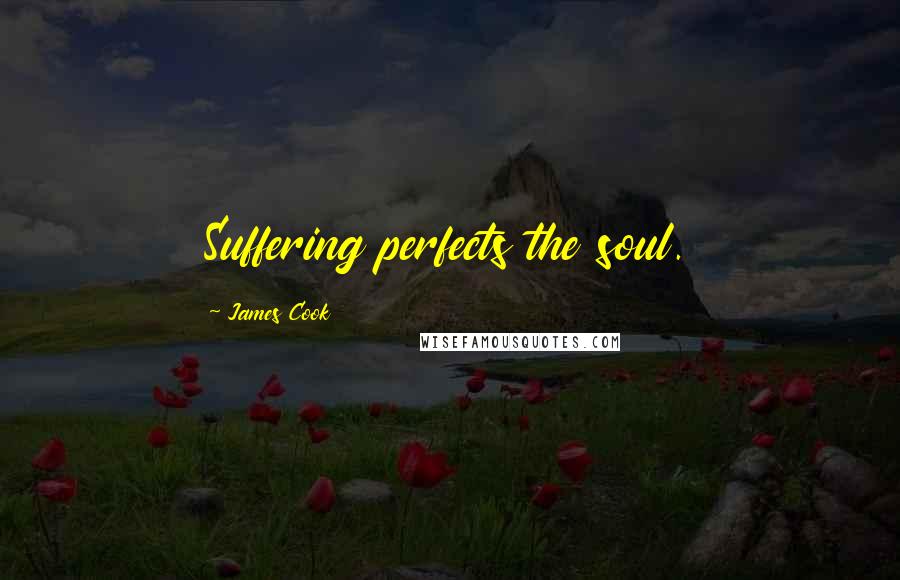 James Cook Quotes: Suffering perfects the soul.