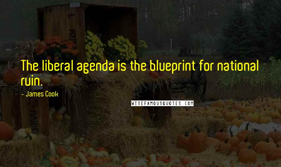 James Cook Quotes: The liberal agenda is the blueprint for national ruin.