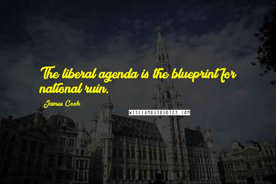 James Cook Quotes: The liberal agenda is the blueprint for national ruin.