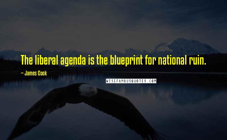 James Cook Quotes: The liberal agenda is the blueprint for national ruin.