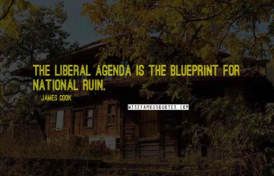 James Cook Quotes: The liberal agenda is the blueprint for national ruin.