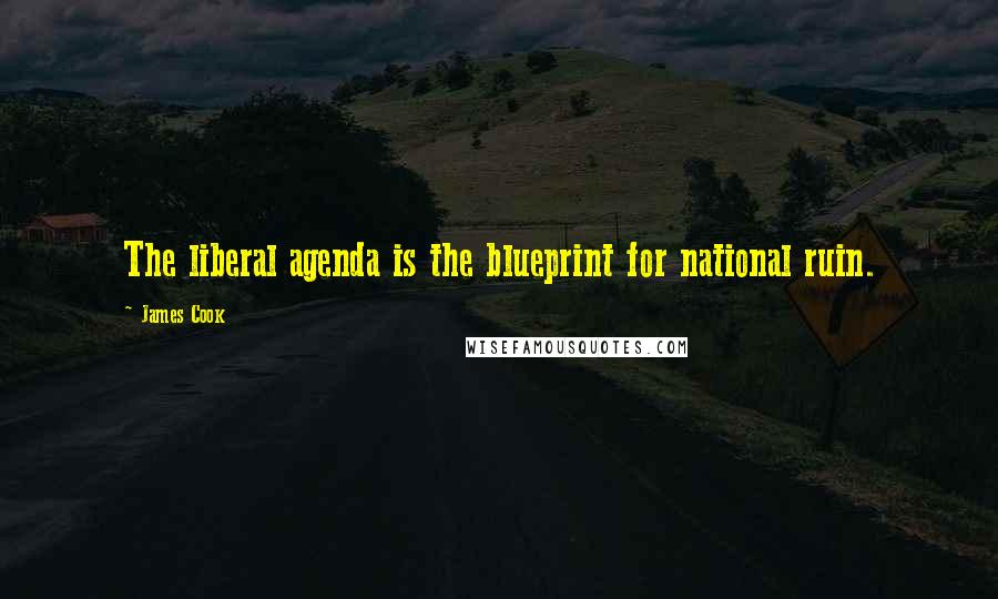 James Cook Quotes: The liberal agenda is the blueprint for national ruin.