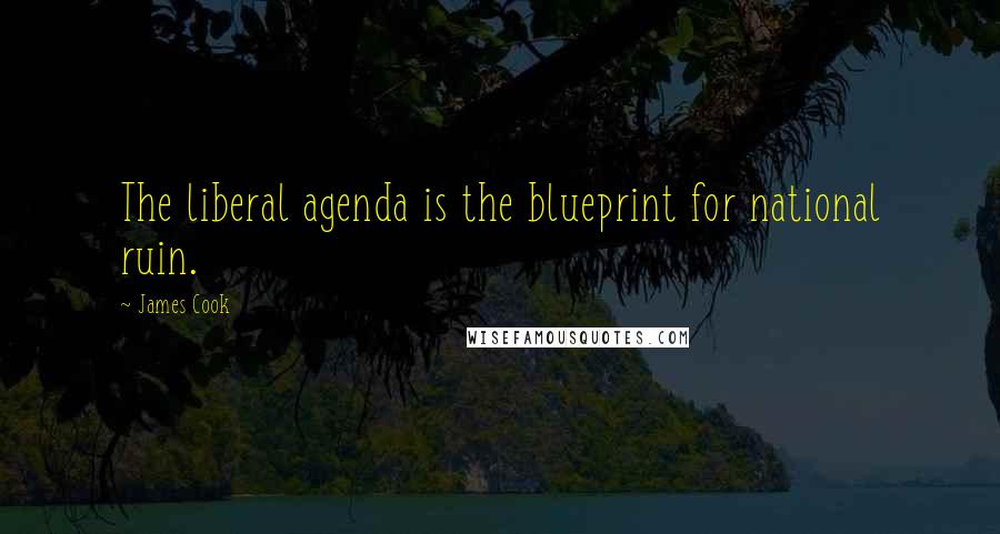 James Cook Quotes: The liberal agenda is the blueprint for national ruin.