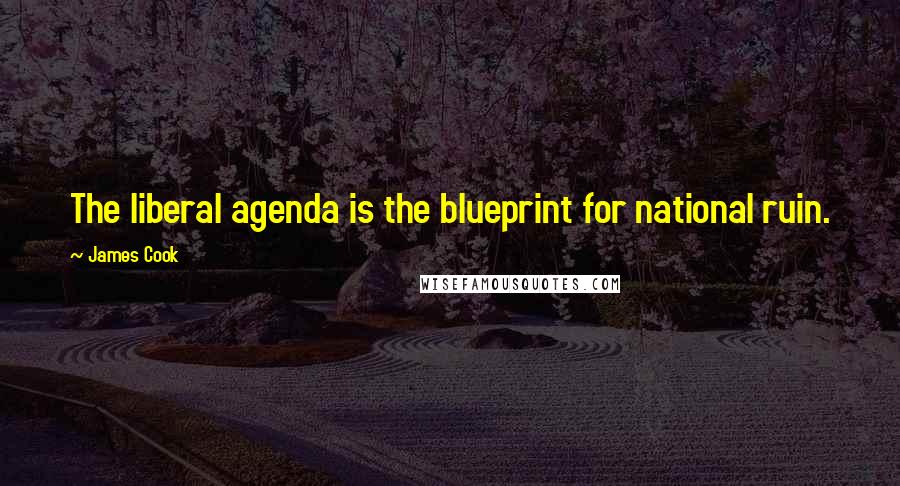 James Cook Quotes: The liberal agenda is the blueprint for national ruin.