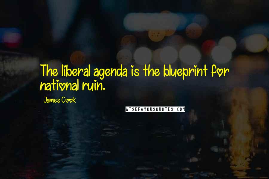 James Cook Quotes: The liberal agenda is the blueprint for national ruin.