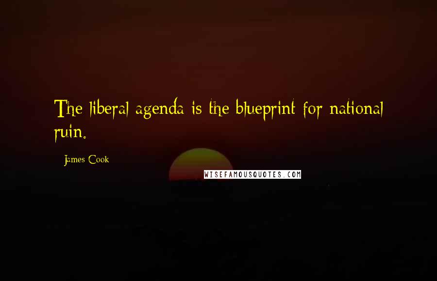 James Cook Quotes: The liberal agenda is the blueprint for national ruin.