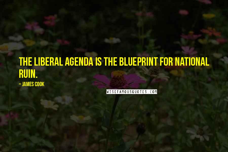 James Cook Quotes: The liberal agenda is the blueprint for national ruin.