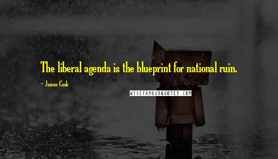 James Cook Quotes: The liberal agenda is the blueprint for national ruin.