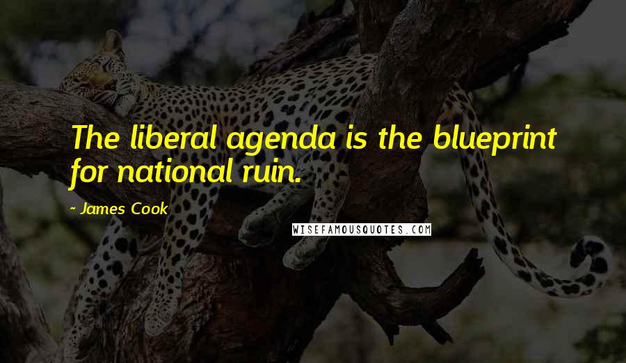 James Cook Quotes: The liberal agenda is the blueprint for national ruin.