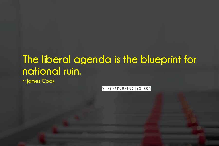 James Cook Quotes: The liberal agenda is the blueprint for national ruin.