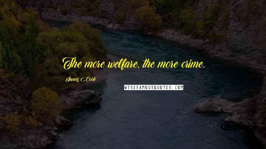 James Cook Quotes: The more welfare, the more crime.