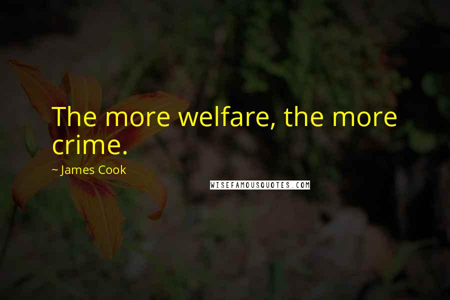 James Cook Quotes: The more welfare, the more crime.