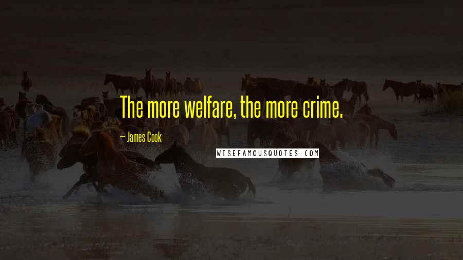 James Cook Quotes: The more welfare, the more crime.