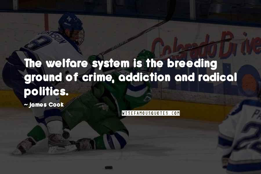 James Cook Quotes: The welfare system is the breeding ground of crime, addiction and radical politics.