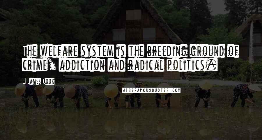 James Cook Quotes: The welfare system is the breeding ground of crime, addiction and radical politics.