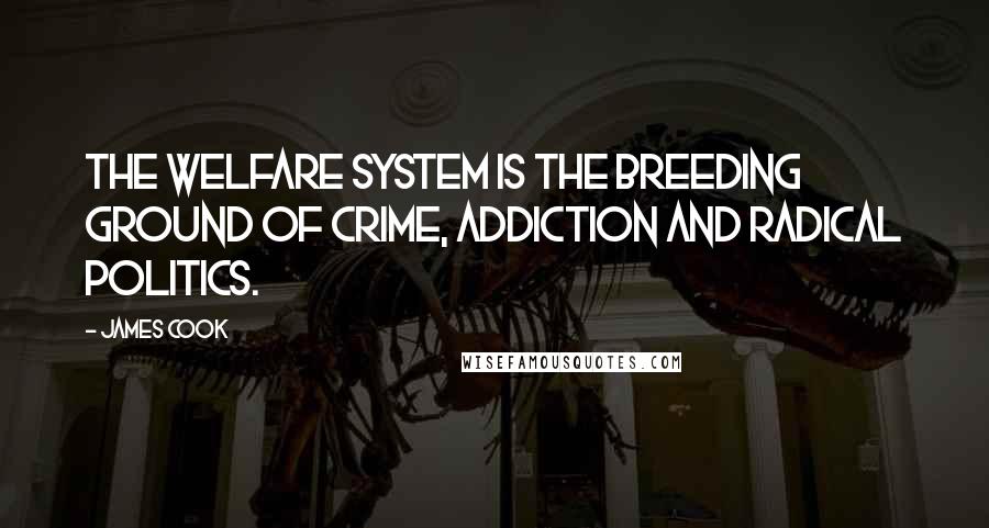 James Cook Quotes: The welfare system is the breeding ground of crime, addiction and radical politics.