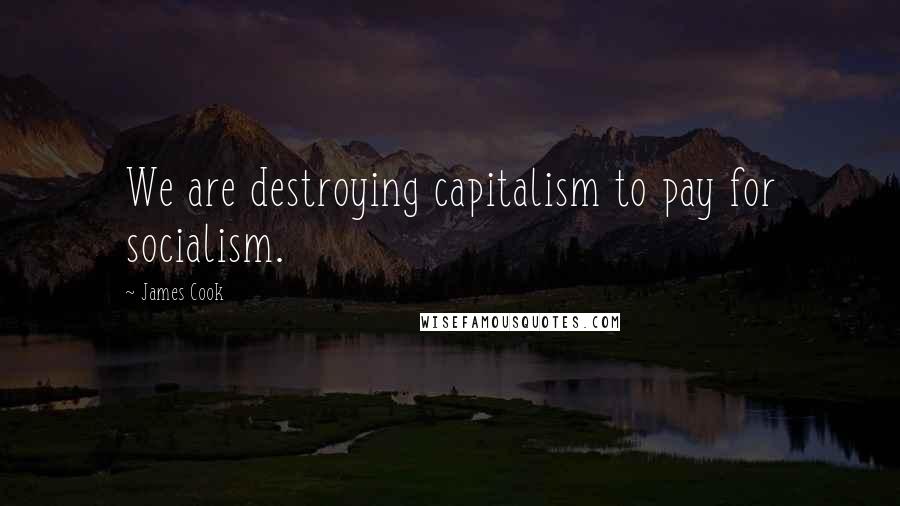 James Cook Quotes: We are destroying capitalism to pay for socialism.