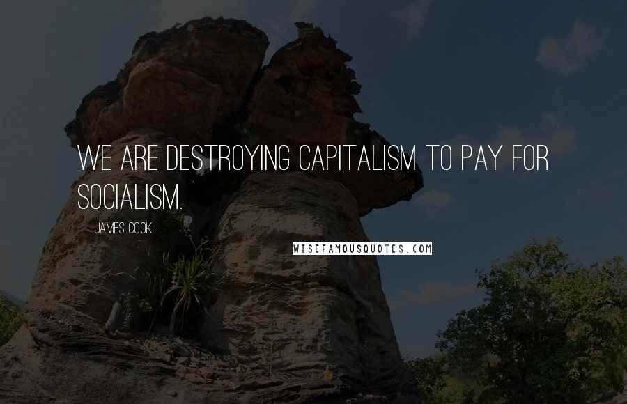 James Cook Quotes: We are destroying capitalism to pay for socialism.