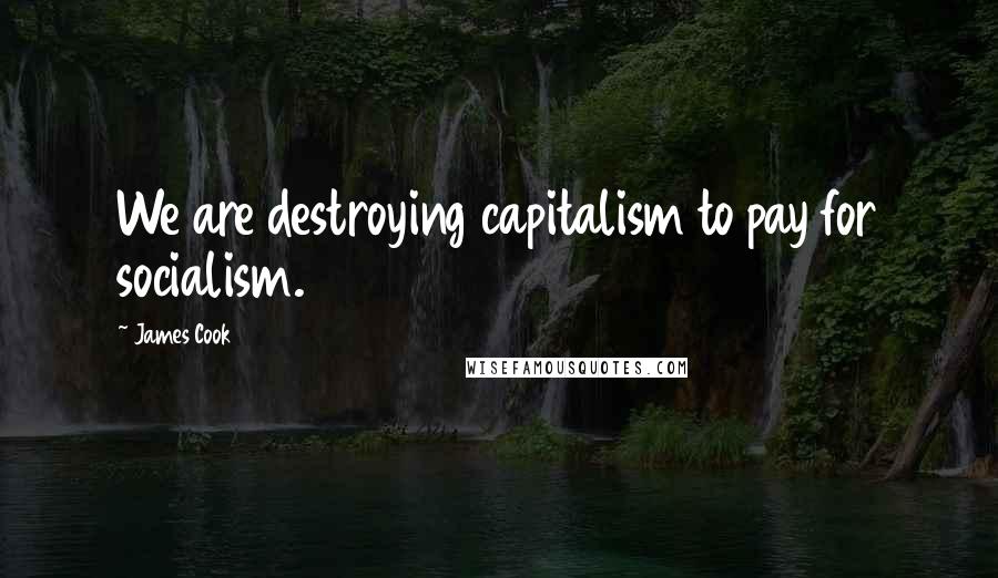 James Cook Quotes: We are destroying capitalism to pay for socialism.