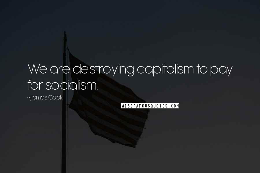 James Cook Quotes: We are destroying capitalism to pay for socialism.