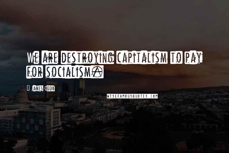 James Cook Quotes: We are destroying capitalism to pay for socialism.