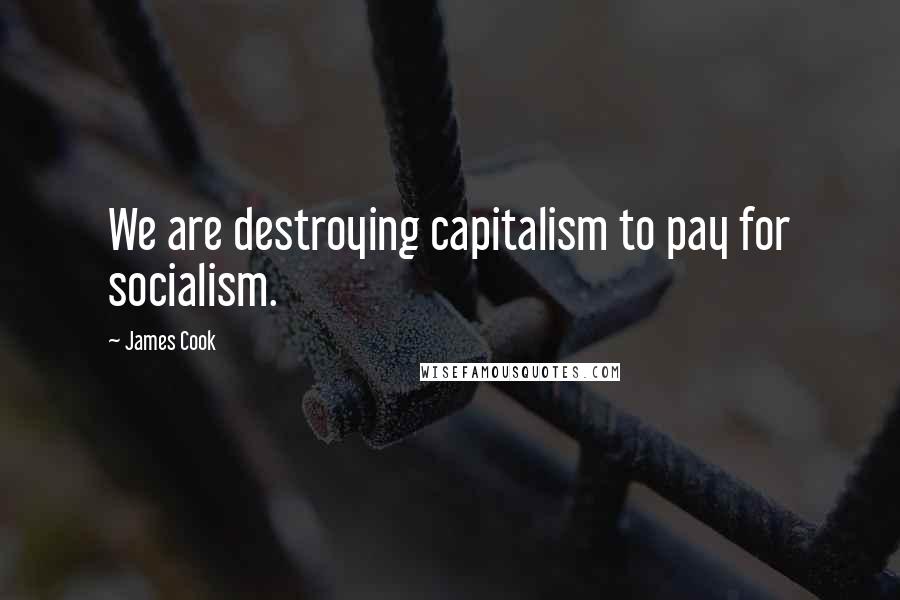 James Cook Quotes: We are destroying capitalism to pay for socialism.