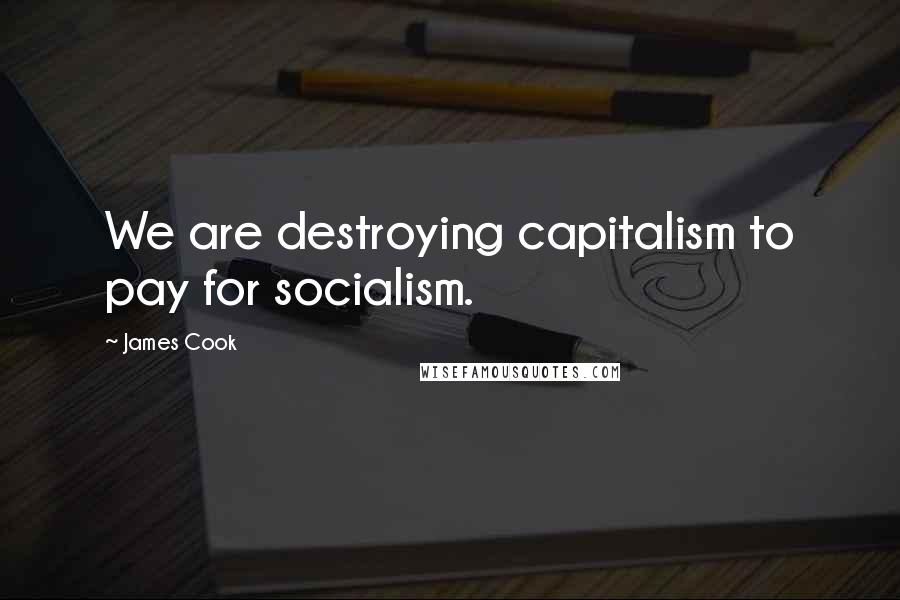 James Cook Quotes: We are destroying capitalism to pay for socialism.