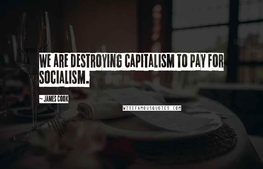 James Cook Quotes: We are destroying capitalism to pay for socialism.