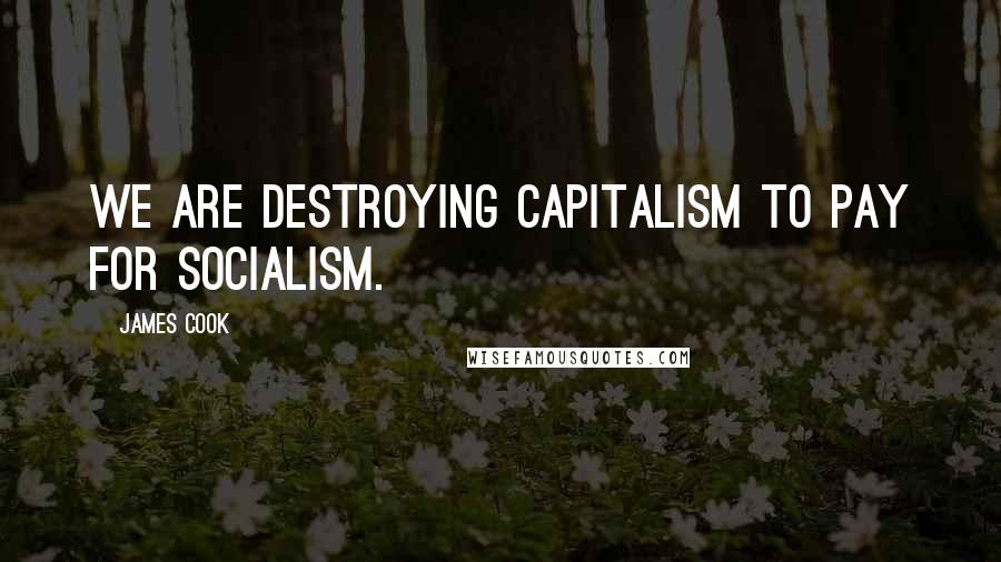 James Cook Quotes: We are destroying capitalism to pay for socialism.