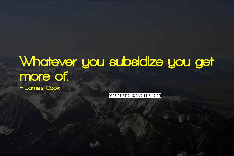 James Cook Quotes: Whatever you subsidize you get more of.