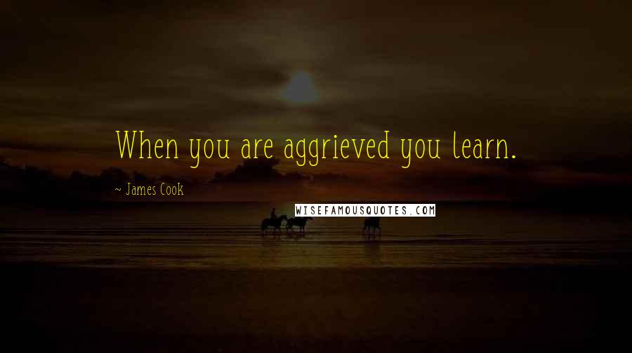 James Cook Quotes: When you are aggrieved you learn.