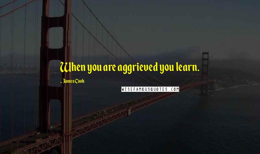 James Cook Quotes: When you are aggrieved you learn.