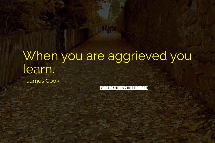 James Cook Quotes: When you are aggrieved you learn.