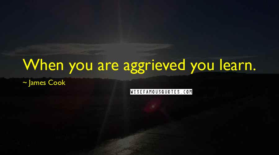 James Cook Quotes: When you are aggrieved you learn.