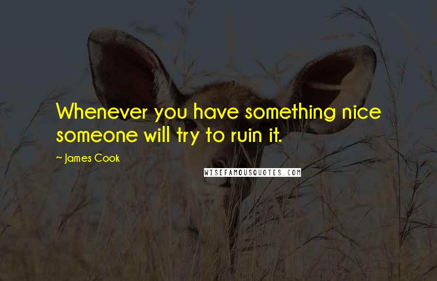 James Cook Quotes: Whenever you have something nice someone will try to ruin it.