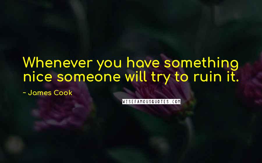 James Cook Quotes: Whenever you have something nice someone will try to ruin it.