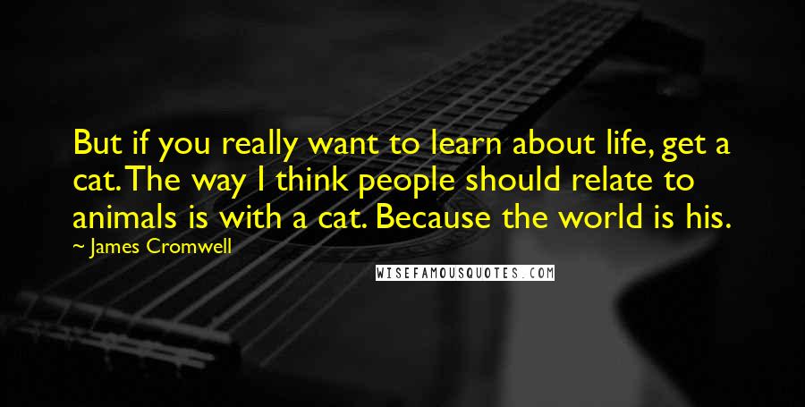 James Cromwell Quotes: But if you really want to learn about life, get a cat. The way I think people should relate to animals is with a cat. Because the world is his.