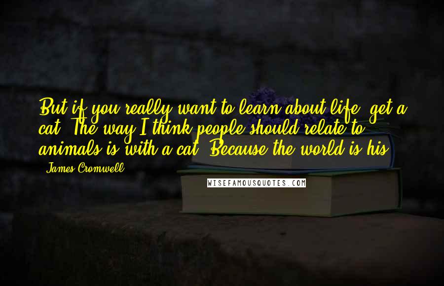 James Cromwell Quotes: But if you really want to learn about life, get a cat. The way I think people should relate to animals is with a cat. Because the world is his.