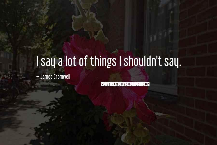 James Cromwell Quotes: I say a lot of things I shouldn't say.