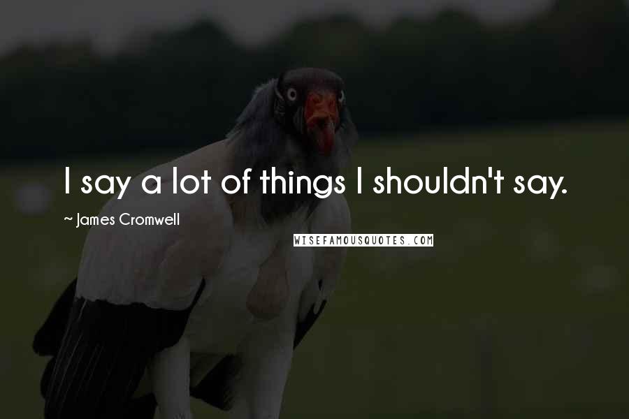 James Cromwell Quotes: I say a lot of things I shouldn't say.