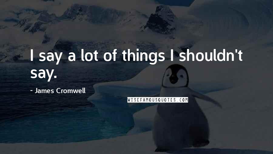 James Cromwell Quotes: I say a lot of things I shouldn't say.