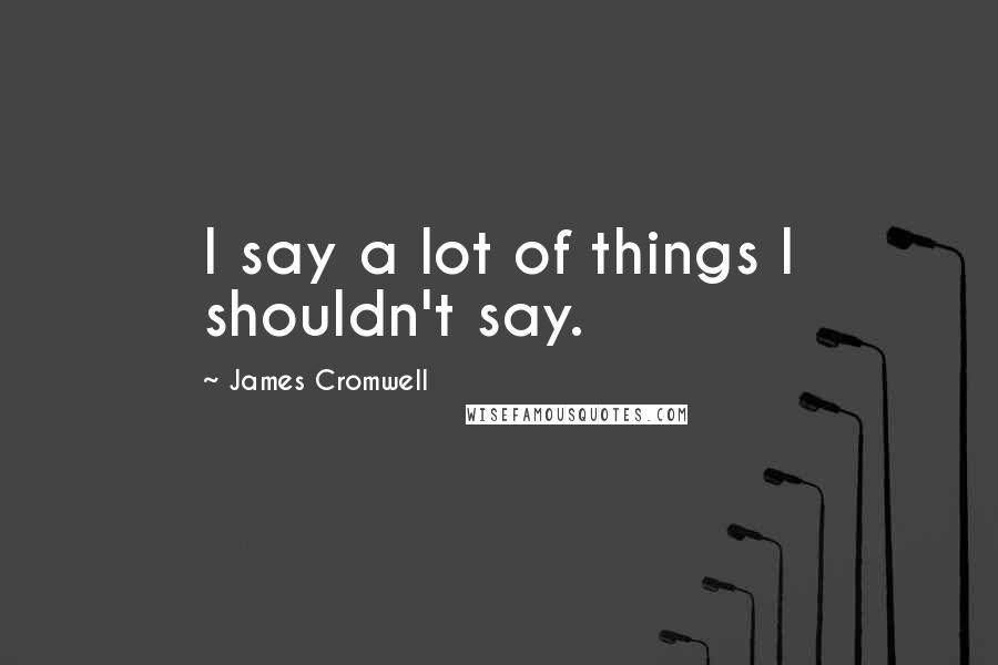 James Cromwell Quotes: I say a lot of things I shouldn't say.