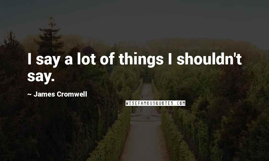 James Cromwell Quotes: I say a lot of things I shouldn't say.