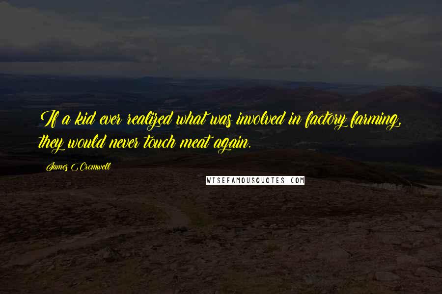 James Cromwell Quotes: If a kid ever realized what was involved in factory farming, they would never touch meat again.