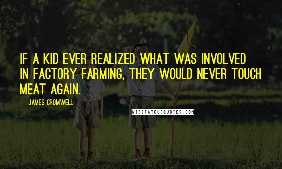 James Cromwell Quotes: If a kid ever realized what was involved in factory farming, they would never touch meat again.