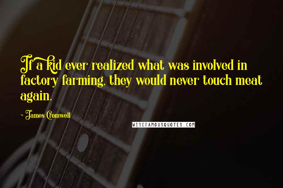 James Cromwell Quotes: If a kid ever realized what was involved in factory farming, they would never touch meat again.