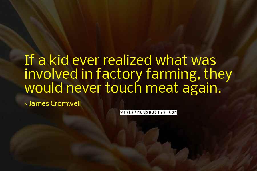 James Cromwell Quotes: If a kid ever realized what was involved in factory farming, they would never touch meat again.
