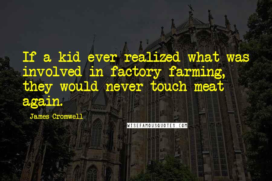 James Cromwell Quotes: If a kid ever realized what was involved in factory farming, they would never touch meat again.
